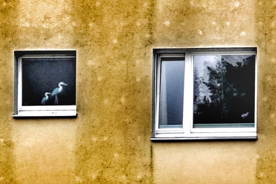 Du betrachtest gerade Handlung eines Todreisenden