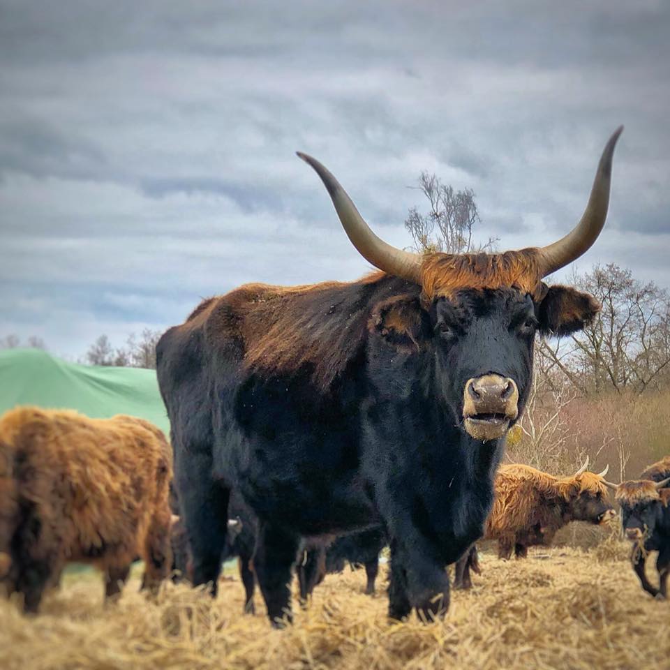 Mehr über den Artikel erfahren Unter Katastrophen machen wir es nicht