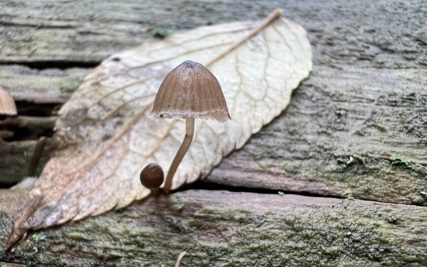 Die Natur …. Foto: MH