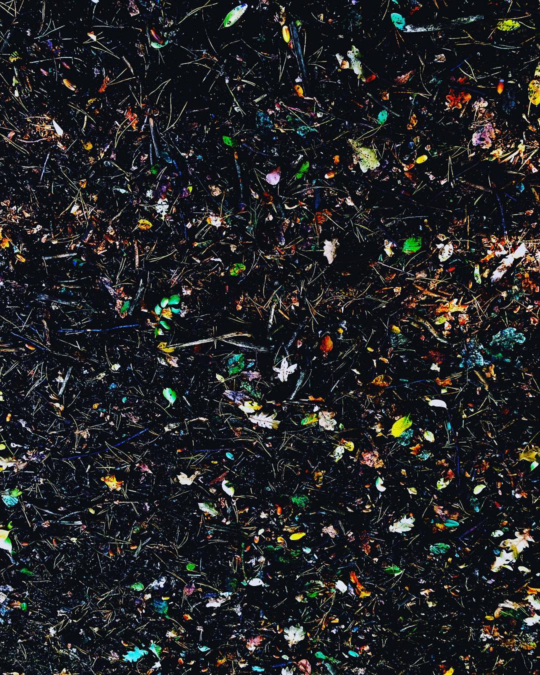 Mehr über den Artikel erfahren In die Presse geschaut – nicht geweint