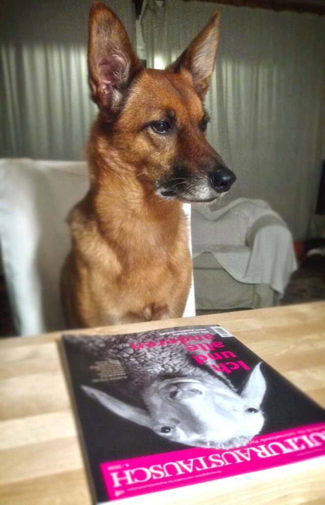 Spieglein, Spieglein auf dem Tisch … MH