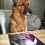 Spieglein, Spieglein auf dem Tisch … MH