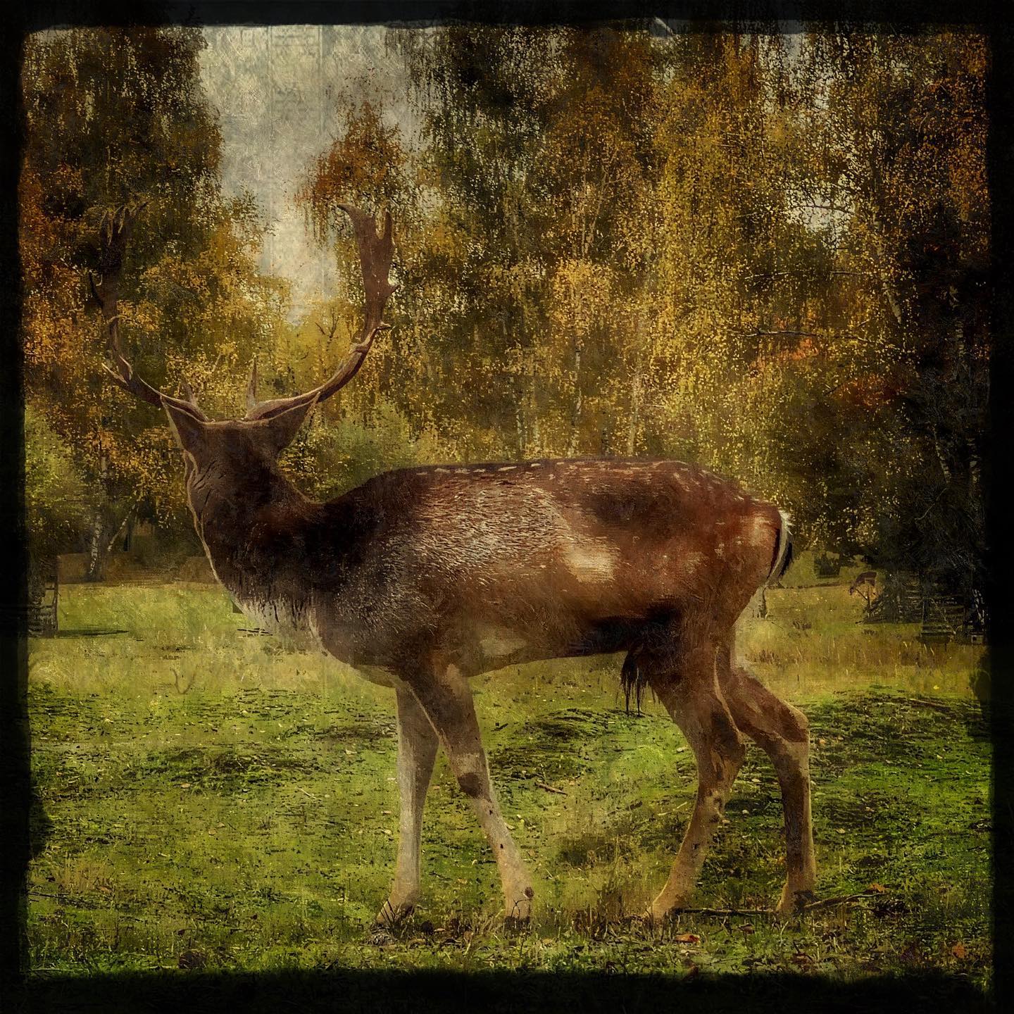 Mehr über den Artikel erfahren Gema vs. Open AI / Musiker:innen in den USA / Musik aus der Ukraine / X wird zur braunblauen Blase