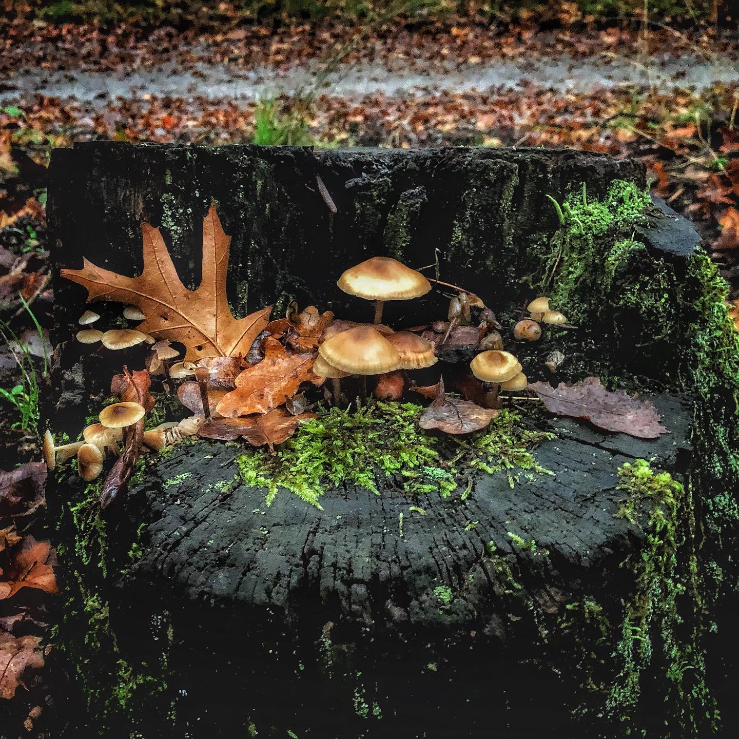 Mehr über den Artikel erfahren Frage: Worauf hoffen? Bilanzen aus dem Oktober und für die Zukunft