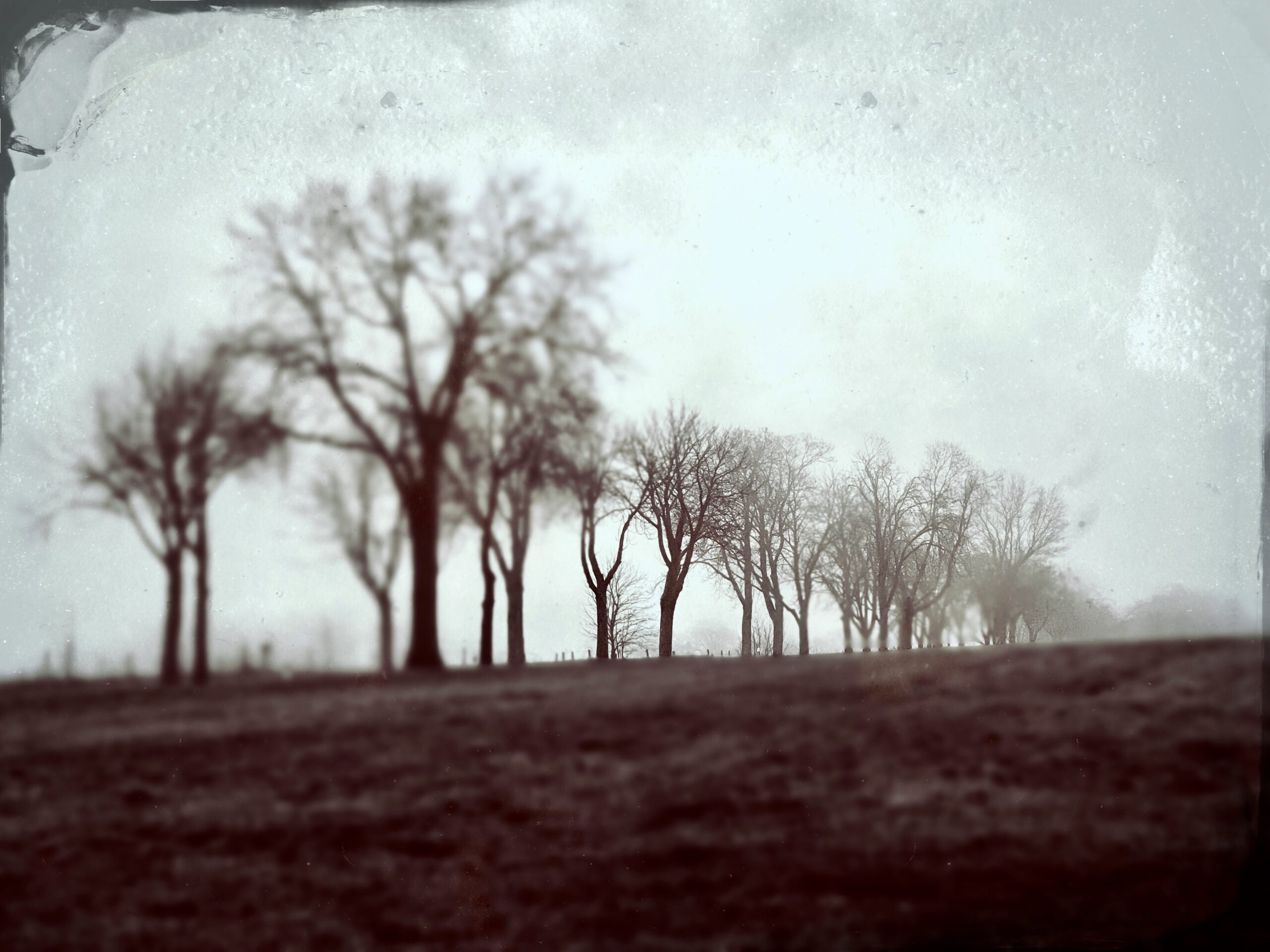 Mehr über den Artikel erfahren Helden … Maulhelden … Elons neue eigene Zeitung in Deutschland … Arnos Kantatenfinder