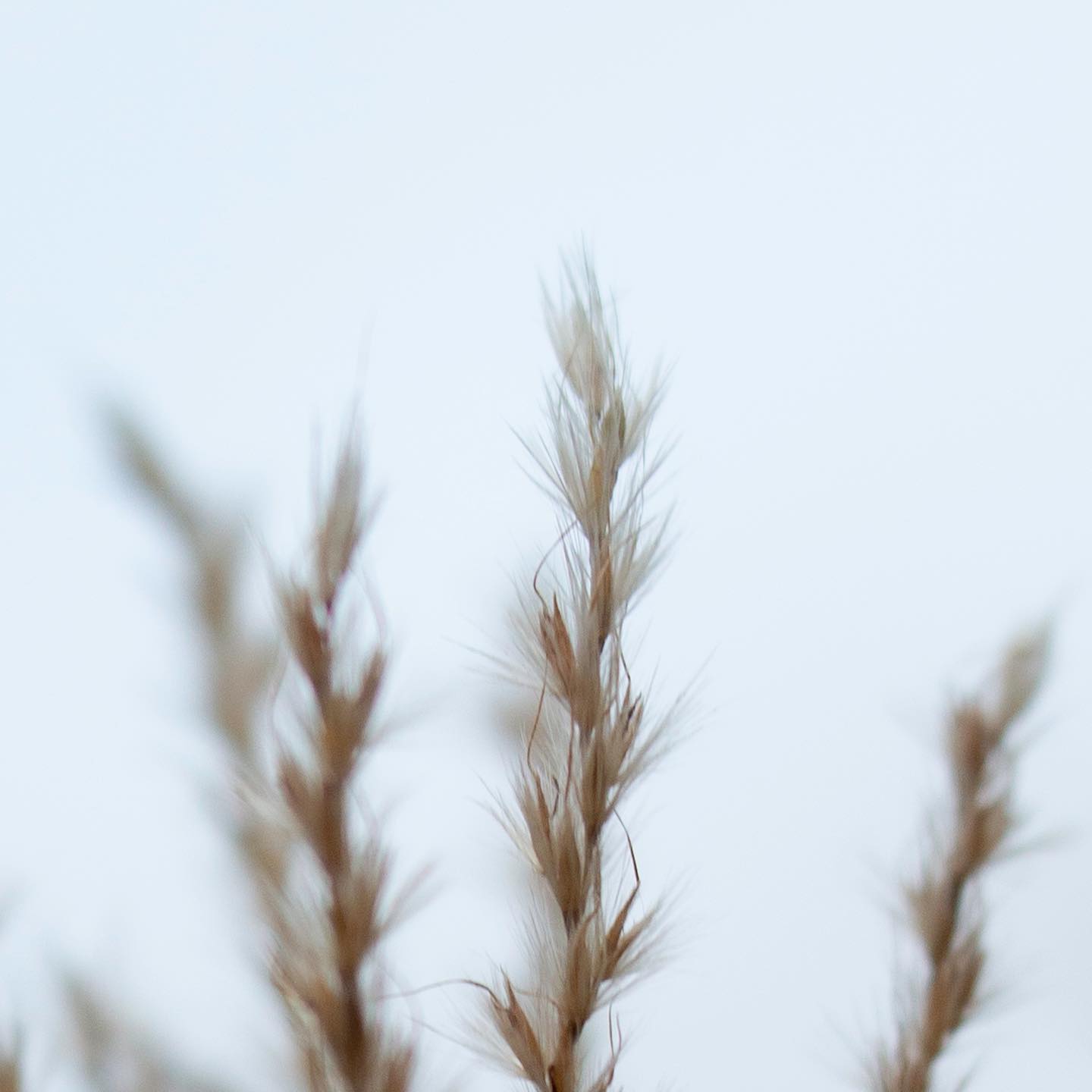 Mehr über den Artikel erfahren Dada damals