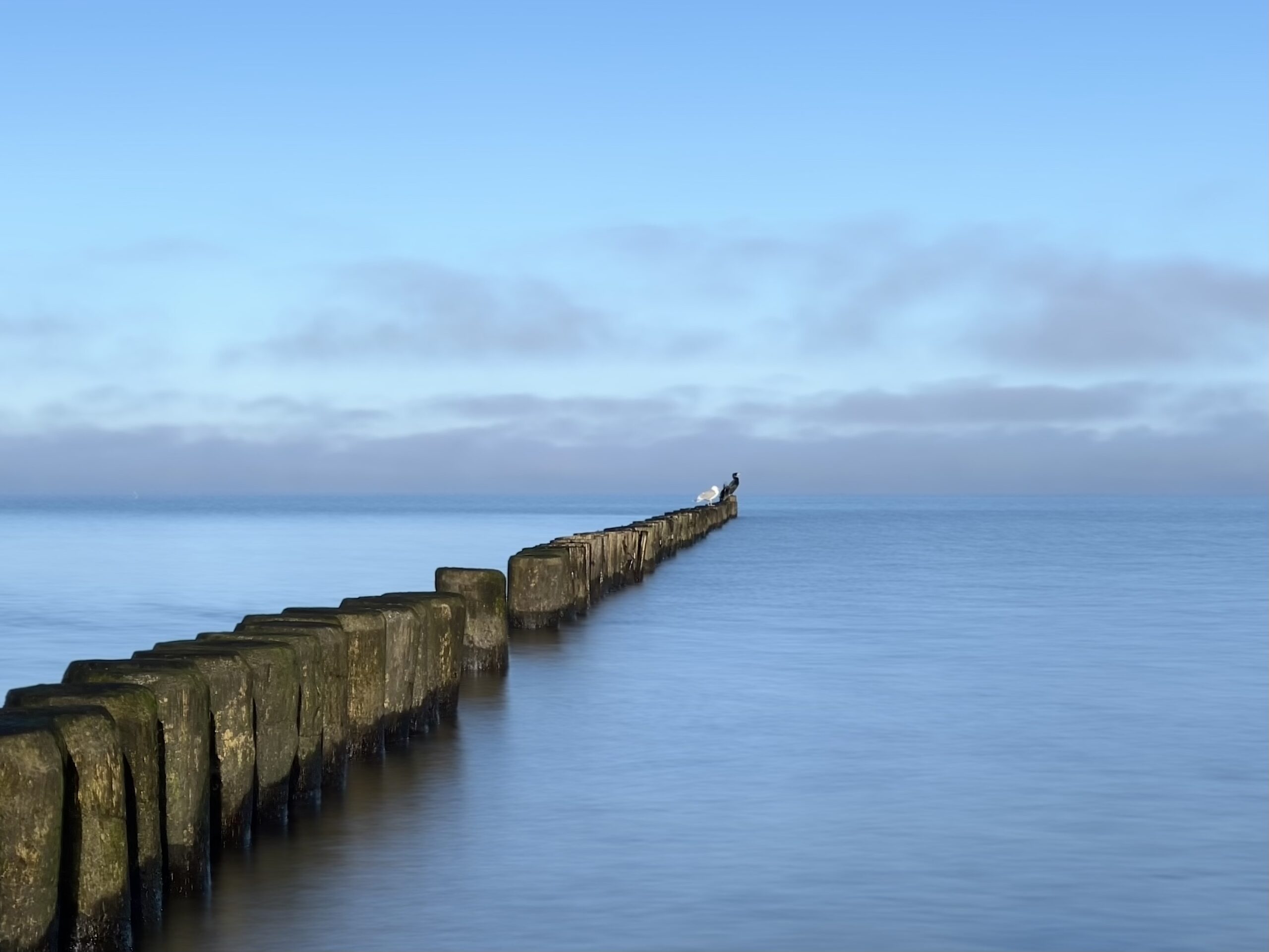 Mehr über den Artikel erfahren Gründlich & Kritisch – Die Masse empfiehlt und wundert sich auch ein bisschen