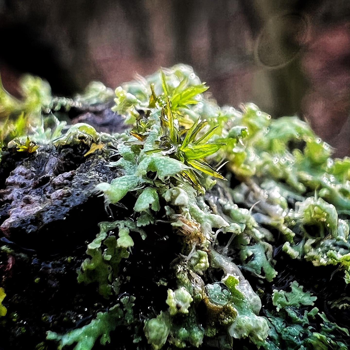 Du betrachtest gerade FDP ist eine wirtschaftsfeindliche Partei
