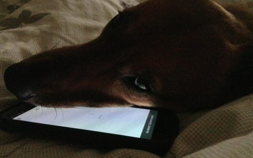nami mobile vor 13 Jahren online gegangen. Eingpennt. Foto: Hufner