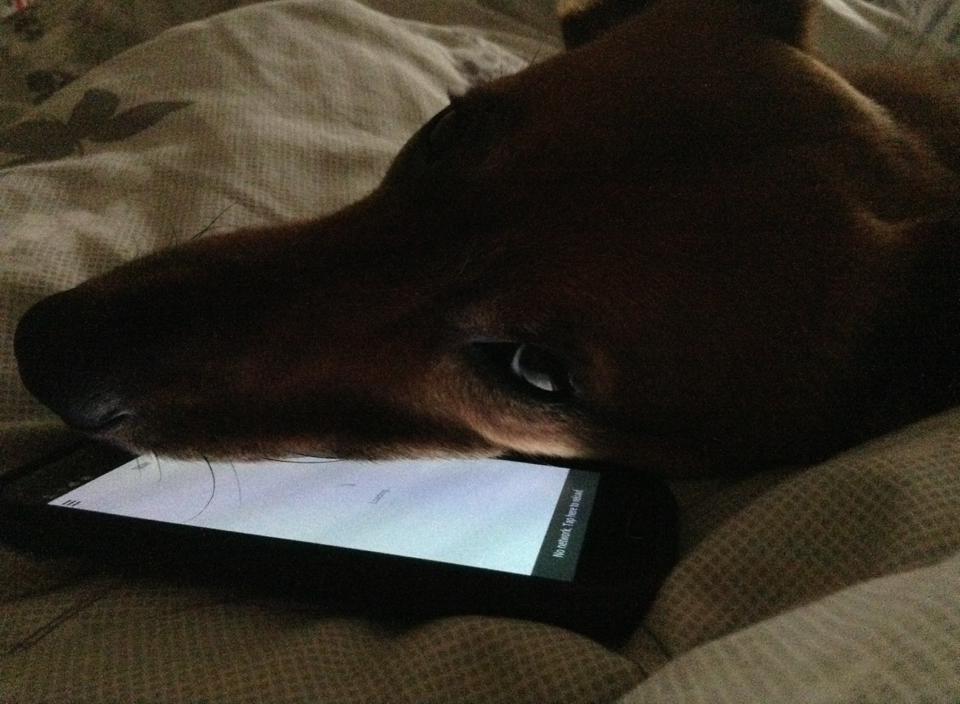 nami mobile vor 13 Jahren online gegangen. Eingpennt. Foto: Hufner